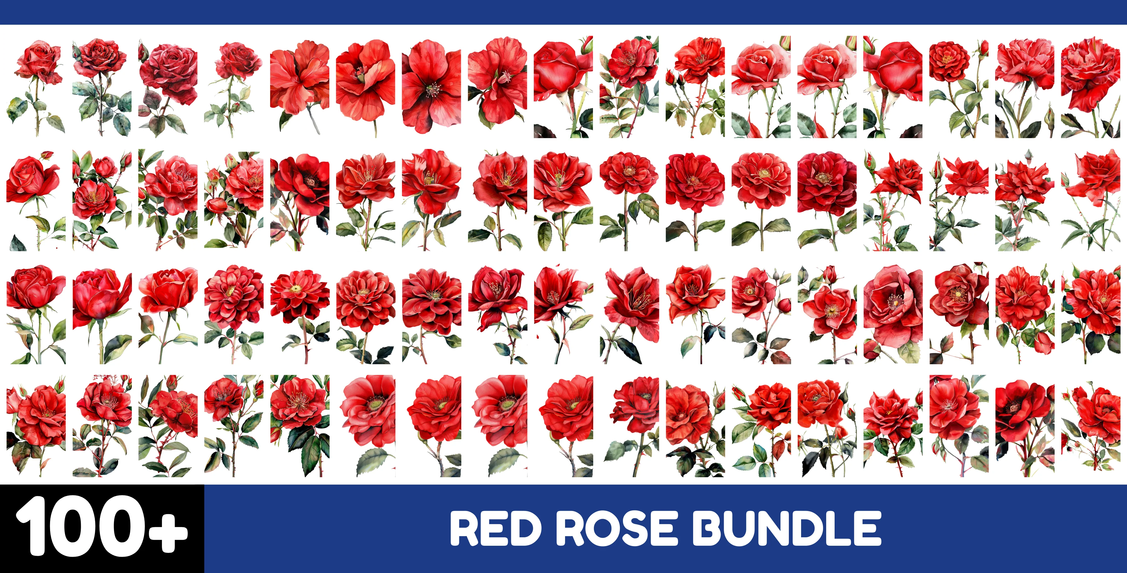 100+ Red Rose PNG Bundle - Watercolor Floral Clip Art