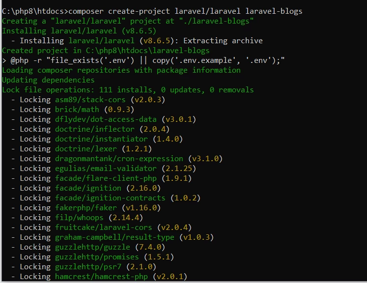 laravel 8 installation