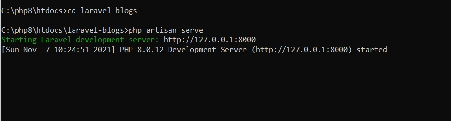 laravel installation