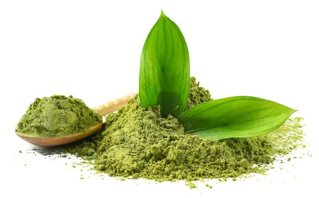 Top 7 Best Matcha Powders in the Philippines