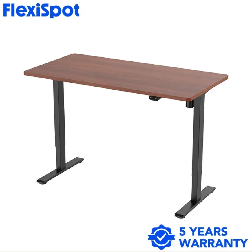 FlexiSpot E2 Electric Standing Desk