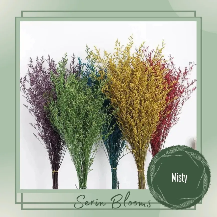 Imported Misty Blue Preserved/Dried