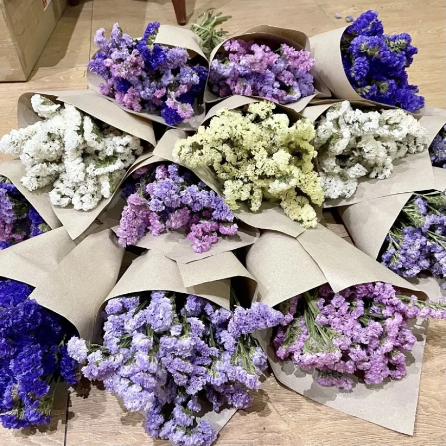 Dried Flower Statice