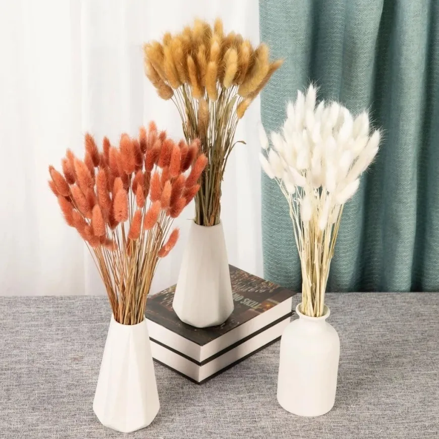 10 Stem Bunny Tails Dried Flowers